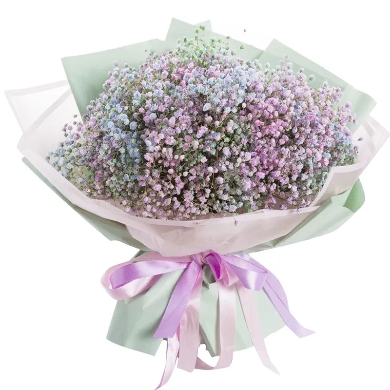 Гипсофилы нежный микс